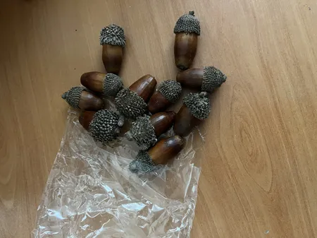 میوه تزیینی مدل بلوط بسته 10 عددی