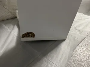 تجریه خرید شلف رومیزی مدل 200