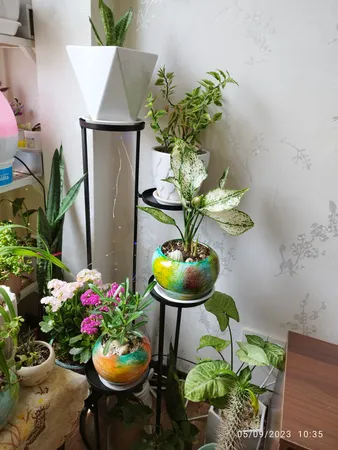 استند گلدان مدل پیچک