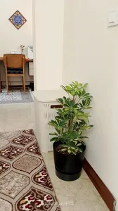 تجریه خرید سبد رخت چرک لیمون مدل SAT583