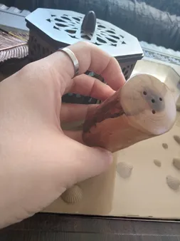 نمکدان چوبی WeWood