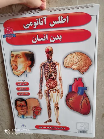 پوستر طرح اطلس آناتومی بدن انسان مجموعه 15 عددی