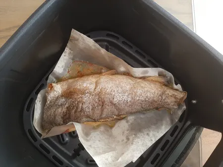 سرخ کن بدون روغن گوسونیک مدل GAF-758