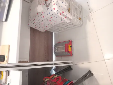 کرسی برقی ناسیونال مدل s2h