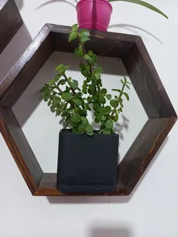 گلدان طرح مکعب مدل مهرنی 10-104