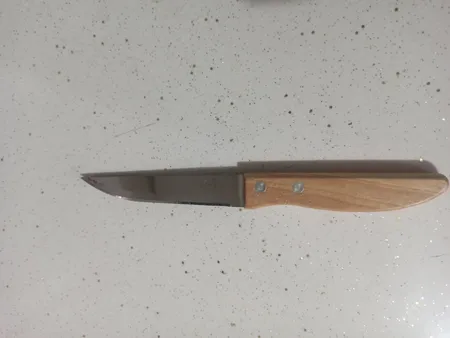 چاقو آشپزخانه فنگ اند فنگ مدل دسته چوبی کد 2002