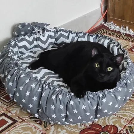 جای خواب سگ و گربه مدل mypet367