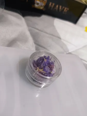 گل خشک لایت چلیپا مدل رزین اپوکسی وزن 5 گرم