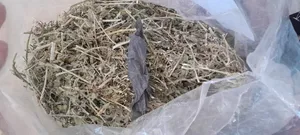 تجریه خرید یونجه خشک خرگوش و خوکچه خرگوشک مدل A001 وزن 1000 گرم