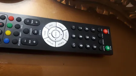 ریموت کنترل اسنوا T203-1