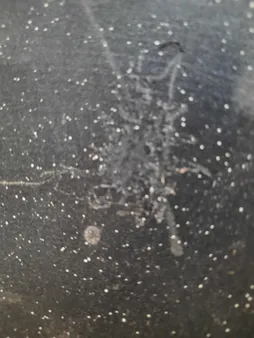 استند و ساج سفری مدل درخشان به همراه گریل