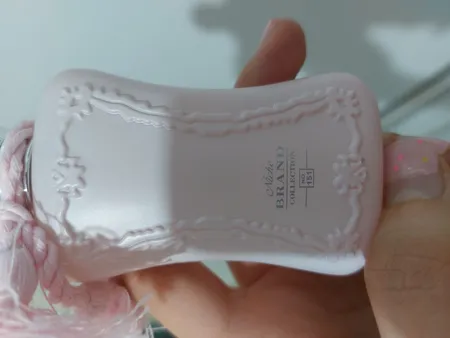 عطر جیبی زنانه برندینی مدل Delina حجم 33 میلی لیتر