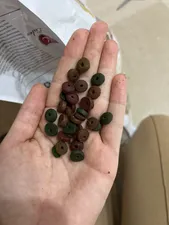 تجریه خرید غذای خشک گربه بالغ رفلکس مدل Multicolor New وزن 15 کیلوگرم