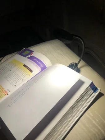 چراغ مطالعه باسئوس مدل DGRAD-0G