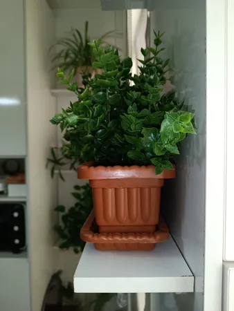 شلف دیواری مدل SH109