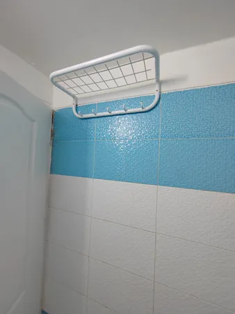 آویز حوله پیسو مدل BV-5