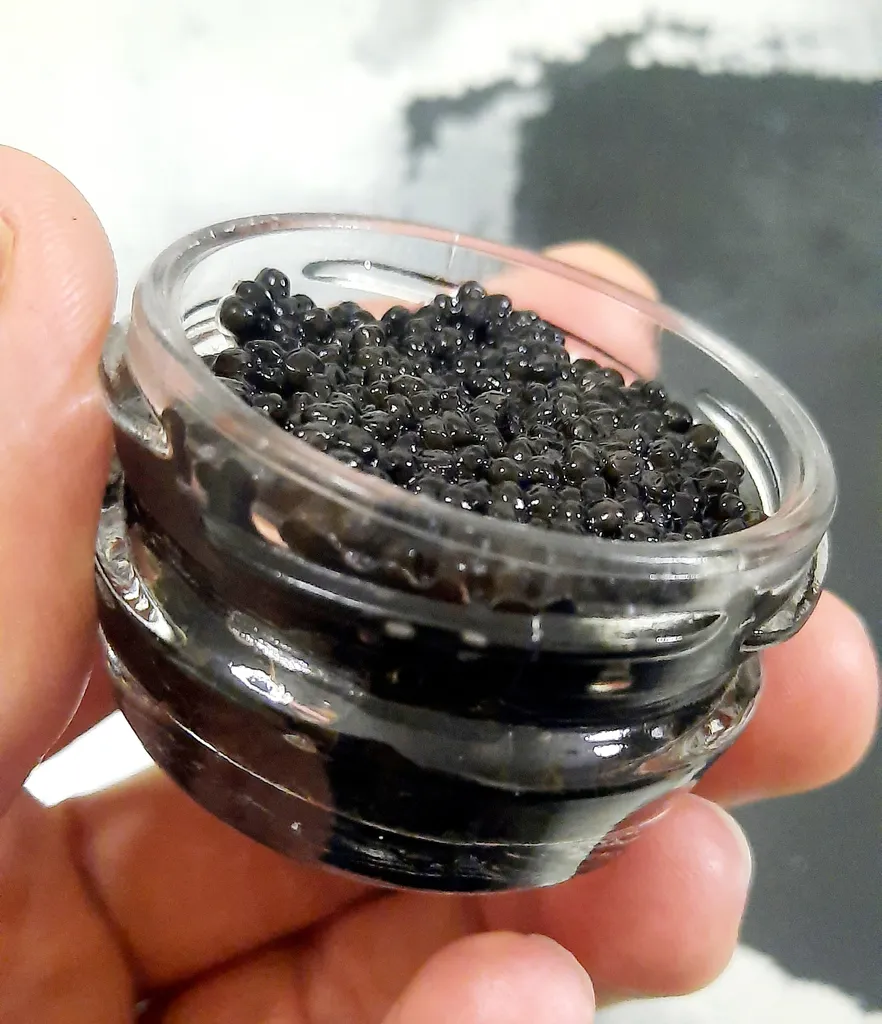 خاویار بری خاویار ایران کاسپیران -  25 گرم