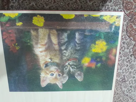 پازل 500 تکه ایران طرح گربه های ناز نازی