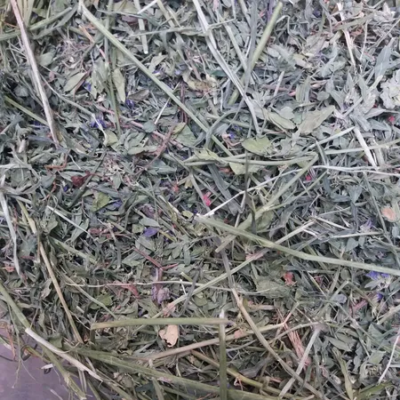 یونجه خشک خرگوش و خوکچه خرگوشک مدل A001 وزن 1000 گرم