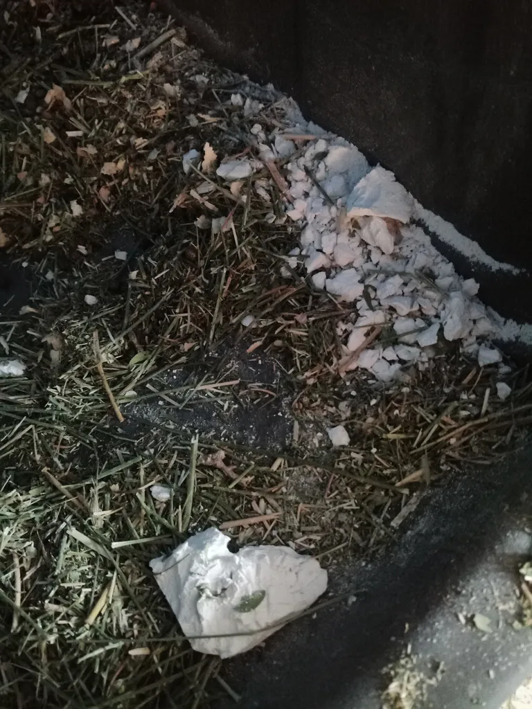 سنگ کلسیم جوندگان فردی مدل Gnawng S وزن 80 گرم