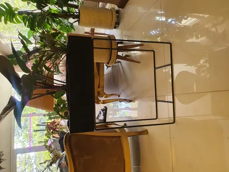 استند گلدان مدل پلنت باکس