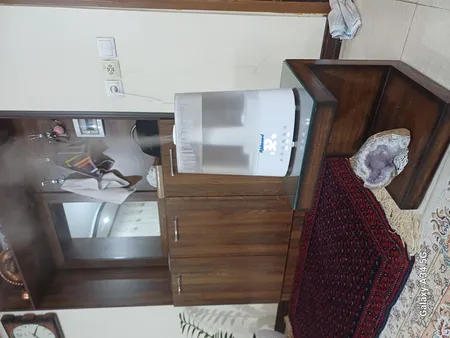 بخور سرد و گرم زیکلاس مد مدل ZYK_2320A