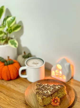 جاشمعی مدل کلبه