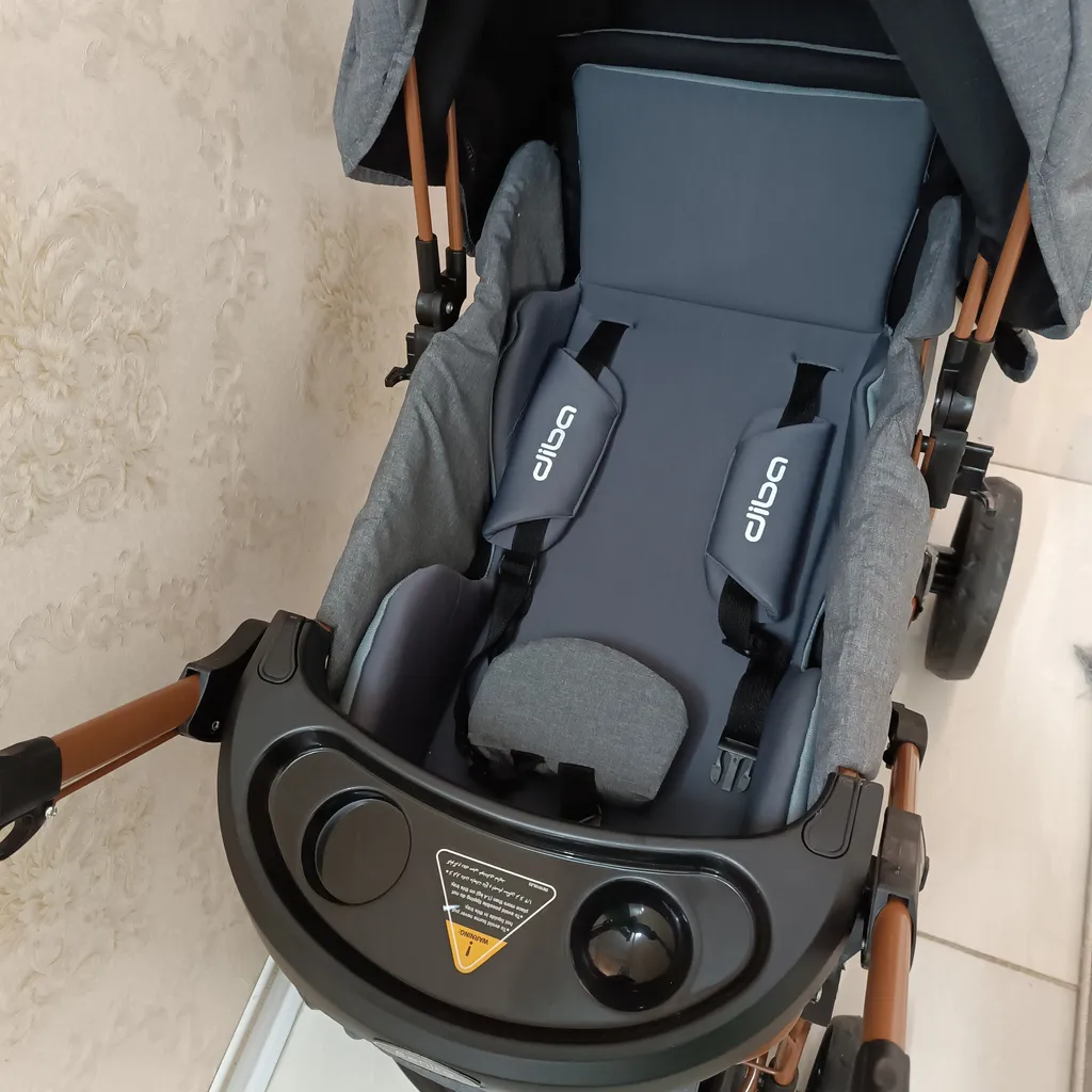 کالسکه دلیجان مدل بنیتا بدنه مسی