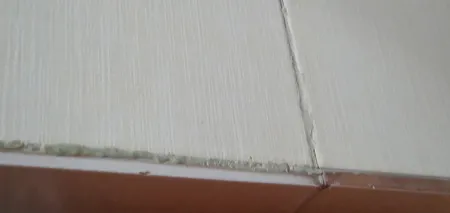 خمیر دوقلو هزار کاره میل پوکس جلاسنج مدل سریع خشک و آرام خشک حجم 100 گرم بسته 2 عددی