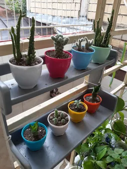 گلدان کلاسیک مدل G3006 مجموعه 10 عددی