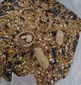 تجریه خرید غذای طوطی برزیلی کاسنر مدل روزانه وزن 1200 گرم