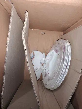 سرویس 25 پارچه غذاخوری آیروپال مدل Stima