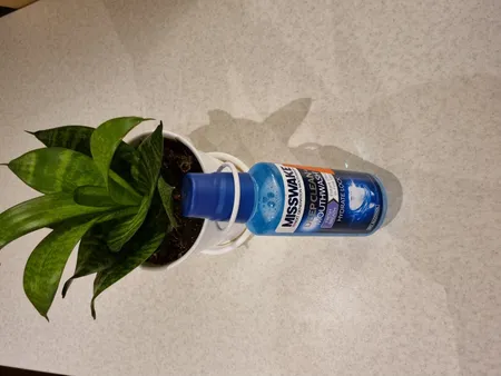 دهان شویه میسویک مدل Fresh Breath حجم 400 میلی لیتر