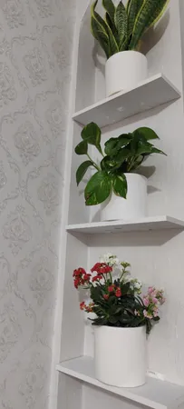 شلف دیواری دینیال مدل هرمی p.s کد DN4015