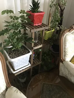 استند گلدان مدل gol3