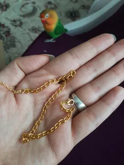 پابند زنانه کد 106