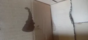 تجریه خرید سرم استلو مدل +Argan حجم 125 میلی لیتر