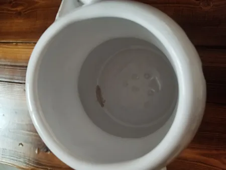 پارچ مدل ادم برفی