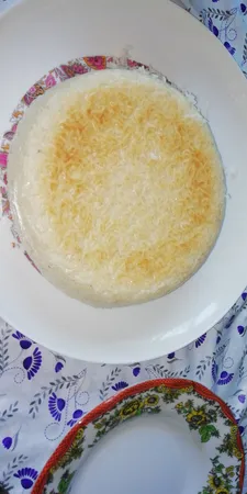 پلوپز پارس خزر مدل RC-181 TYAN