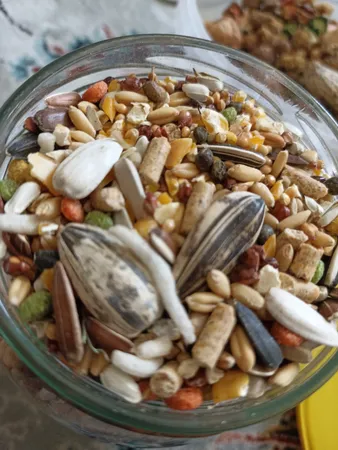 غذای همستر نیچرفود مدل 2 ستاره وزن 500 گرم