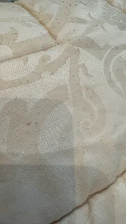 پرزگیر برقی لباس میجیا مدل MQXJQ01KL