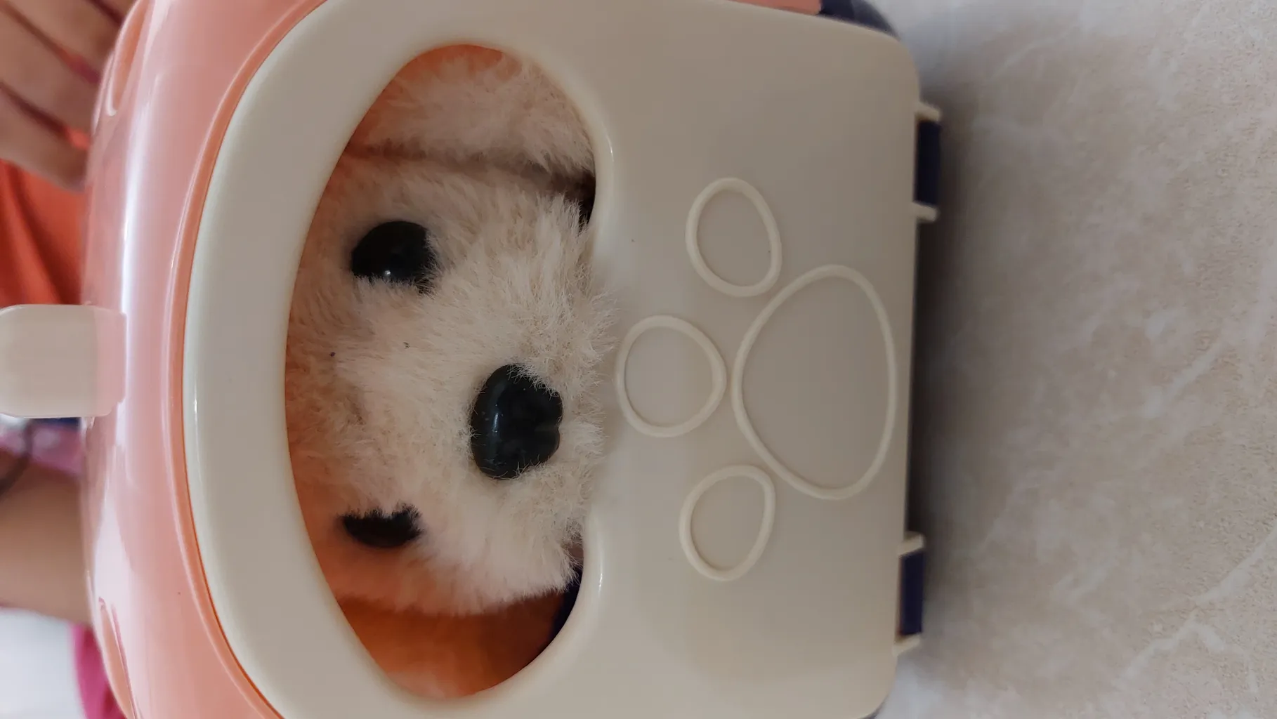 اسباب بازی مدل سگ و قفس کد 315 مجموعه 7 عددی