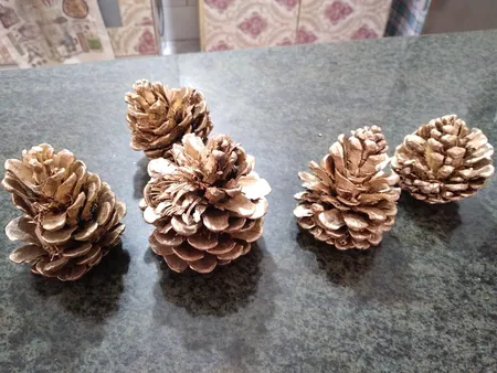 میوه تزیینی کاج مدل 121111مجموعه 5 عددی