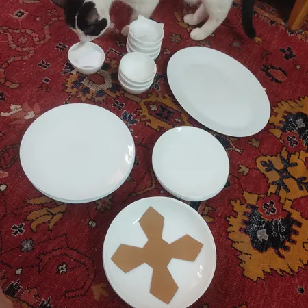 سرویس غذاخوری 25 پارچه 6 نفره دینو مدل 001