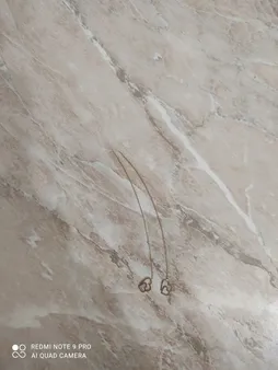 گوشواره طلا 18 عیار زنانه طرح قلب کد EL-004