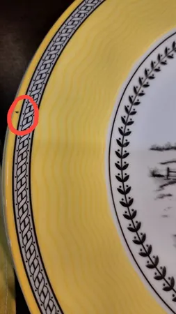 بشقاب غذاخوری چینی زرین ایران مدل ایتالیا 25 ویلیج درجه یک بسته 6 عددی