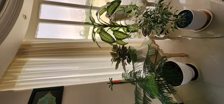 دستگاه بخور سرد مدل H-2020