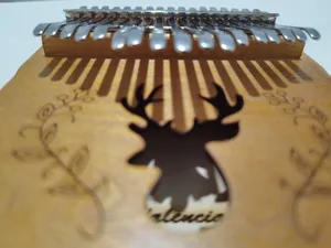 تجریه خرید کالیمبا والنسیا مدل BRLMRR