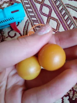 تفنگ بازی مدل آرش