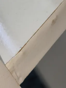 کتابخانه رومیزی مدل کاکتوس